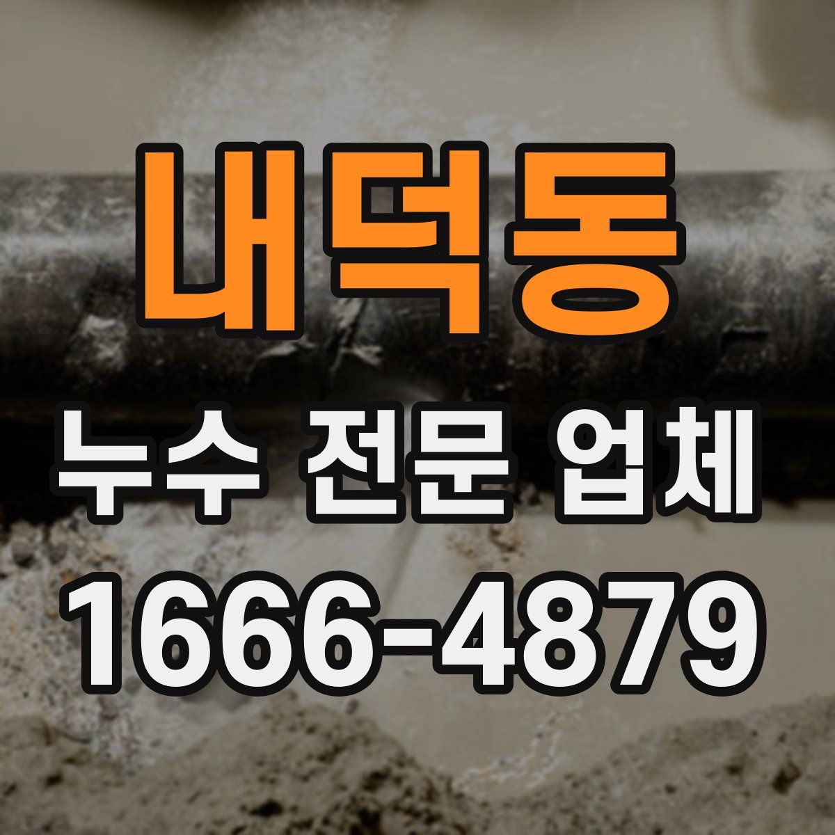 내덕동 누수 전문 업체