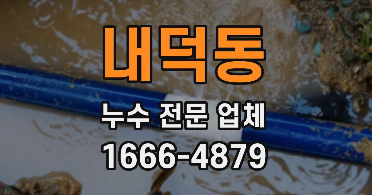 내덕동 누수 전문 업체