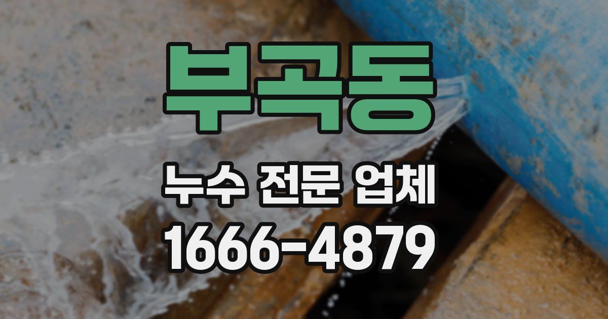 부곡동 누수 전문 업체