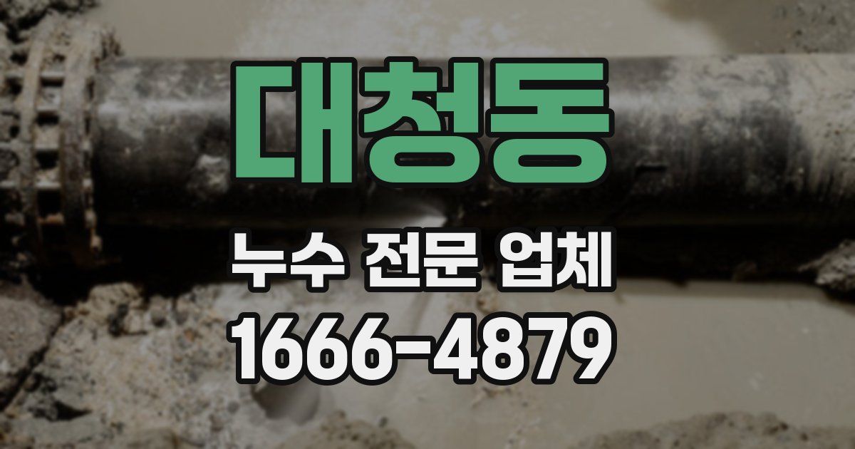 대청동 누수 전문 업체