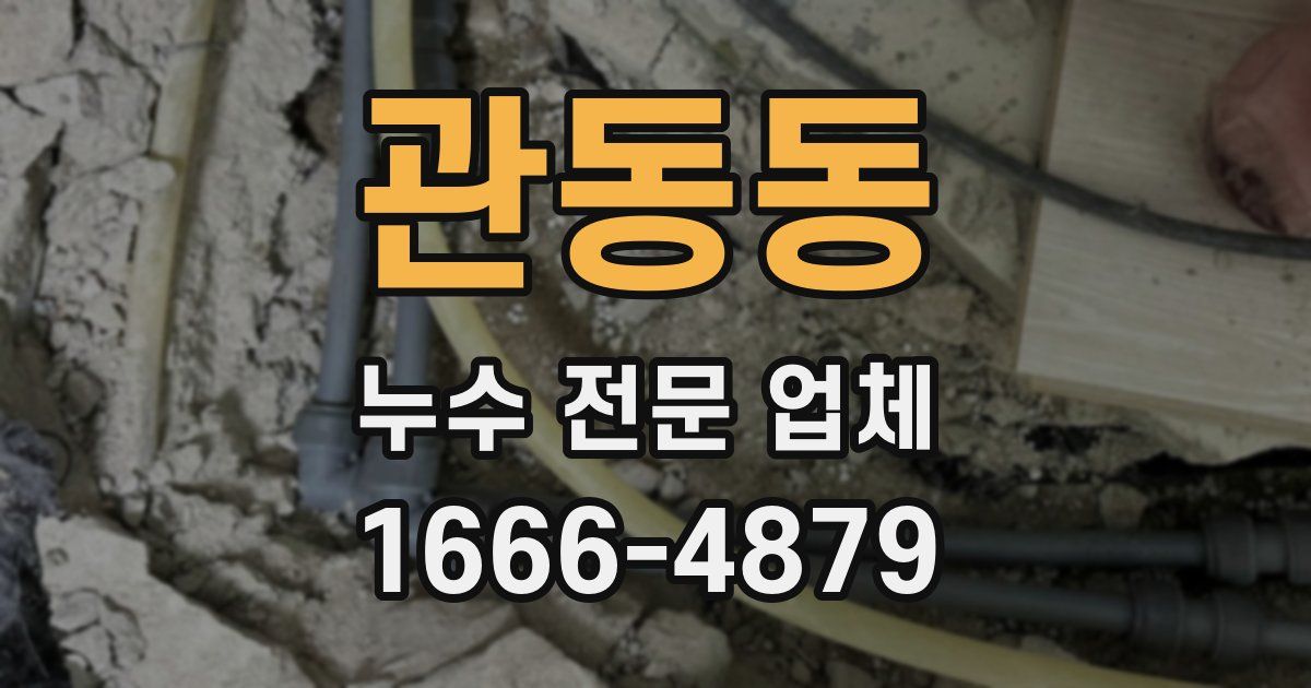 관동동 누수 전문 업체