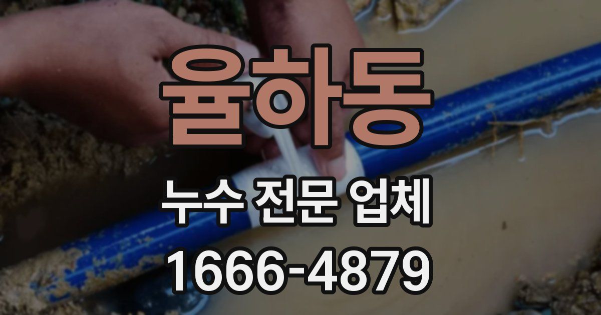 율하동 누수 전문 업체
