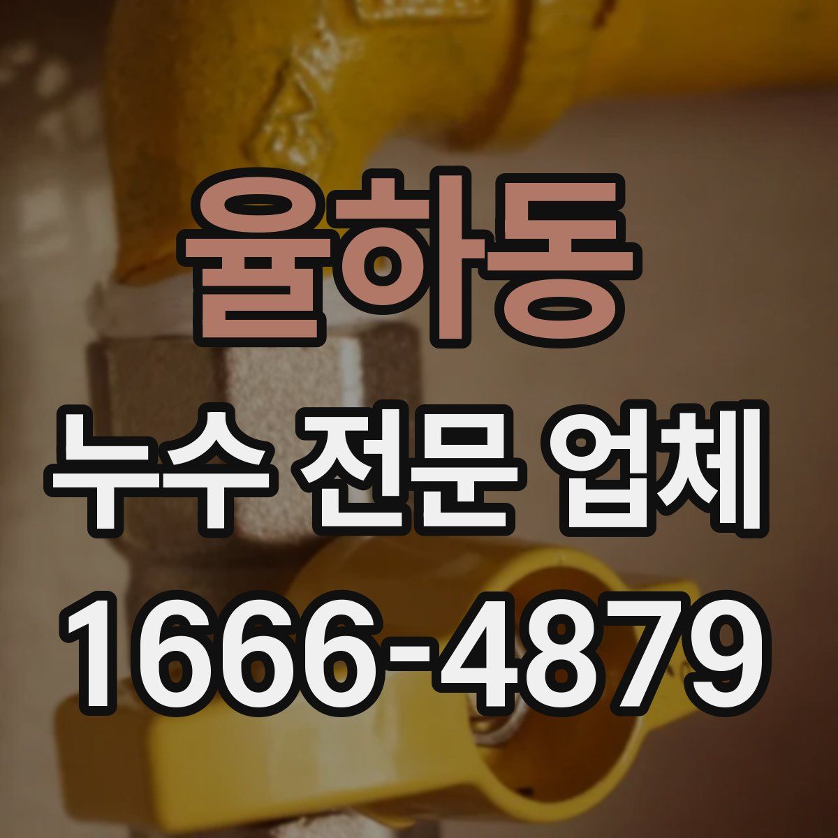 율하동 누수 전문 업체