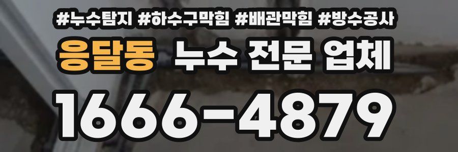 응달동 누수 전문 업체