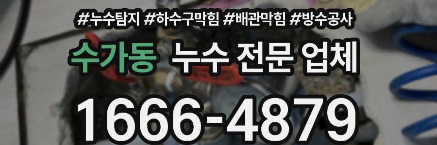 수가동 누수 전문 업체