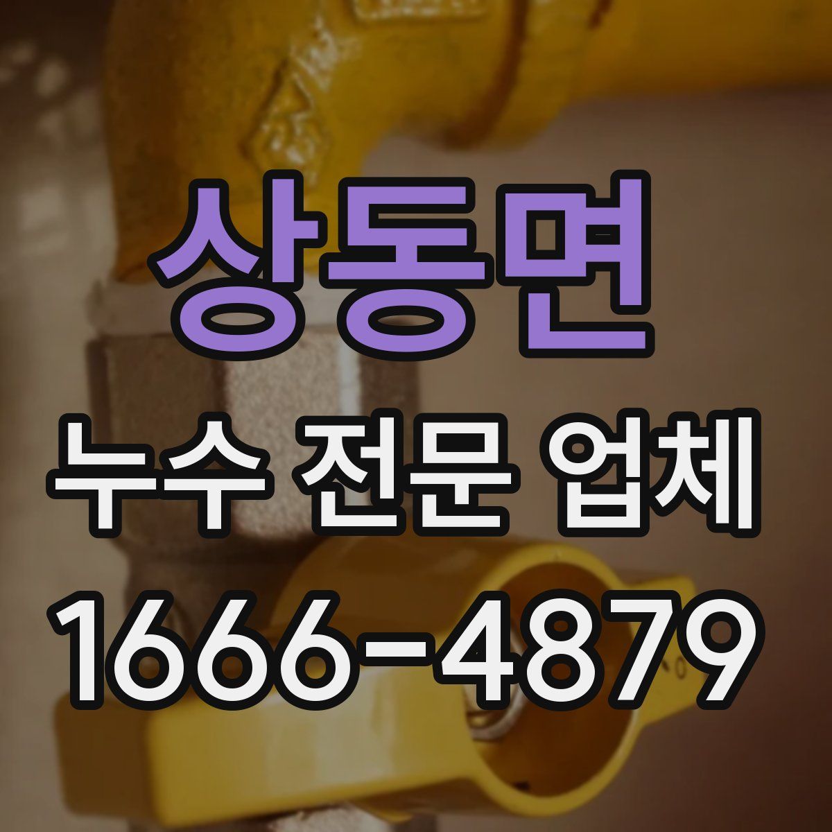 상동면 누수 전문 업체