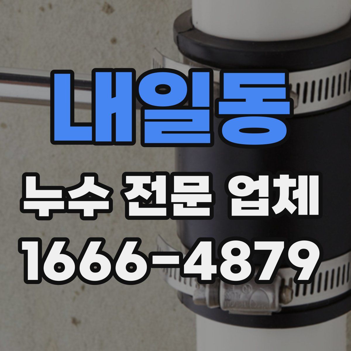 내일동 누수 전문 업체