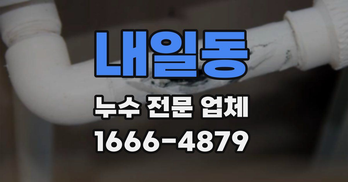 내일동 누수 전문 업체
