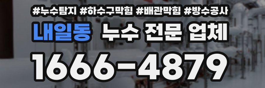내일동 누수 전문 업체