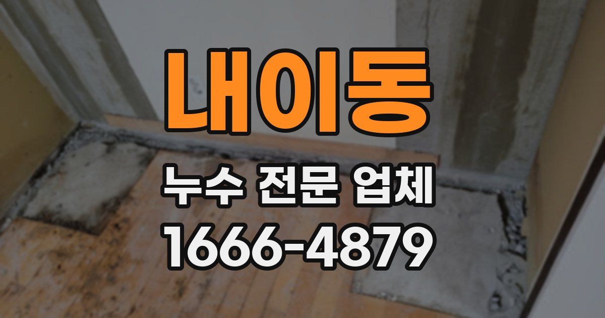 내이동 누수 전문 업체