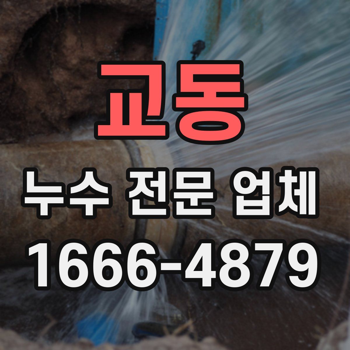 교동 누수 전문 업체