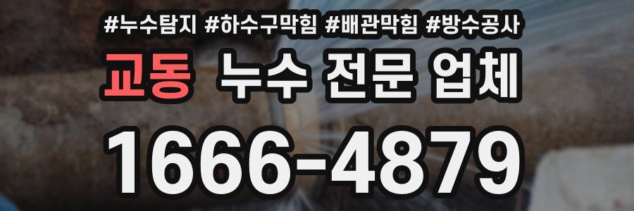 교동 누수 전문 업체