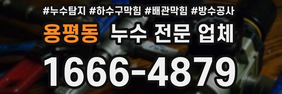 용평동 누수 전문 업체