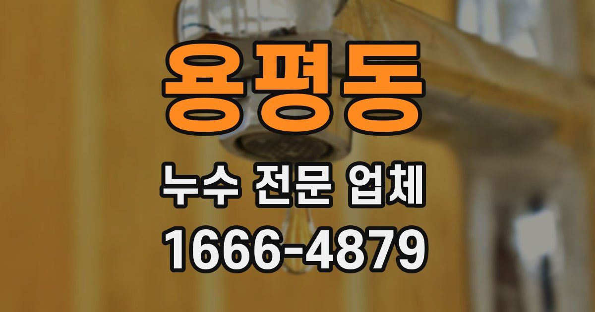용평동 누수 전문 업체