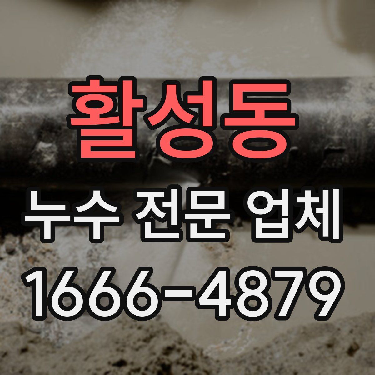 활성동 누수 전문 업체