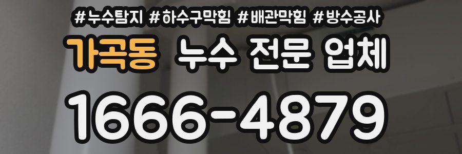 가곡동 누수 전문 업체