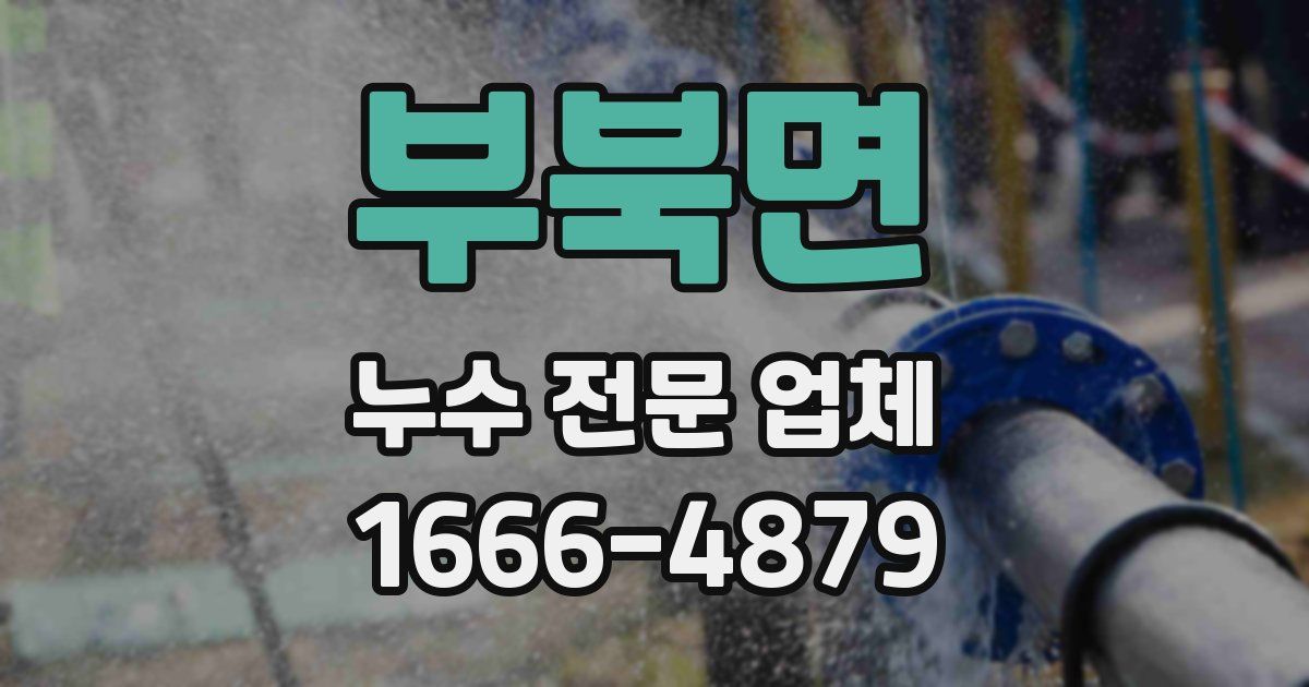 부북면 누수 전문 업체