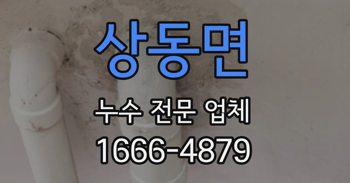 상동면 누수 전문 업체