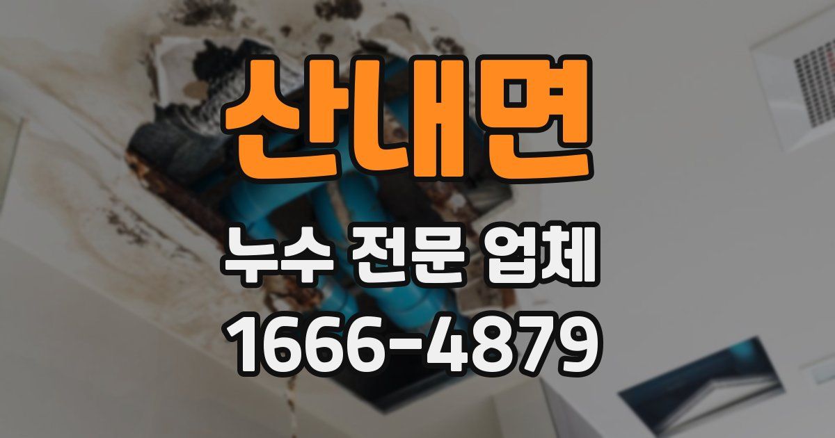 산내면 누수 전문 업체