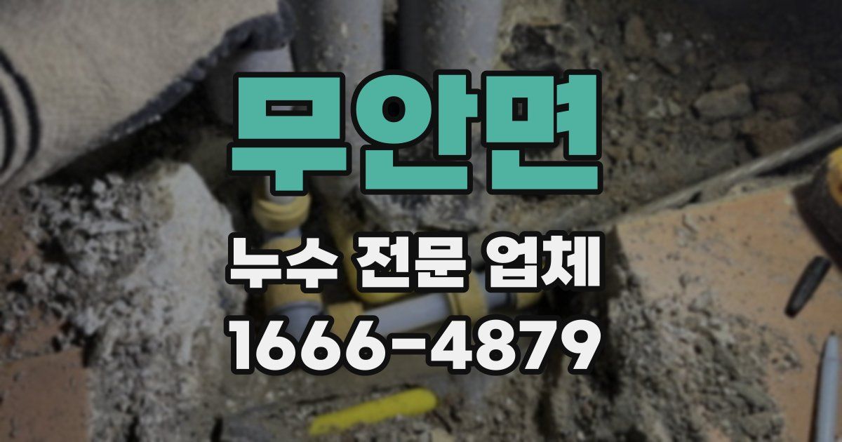 무안면 누수 전문 업체