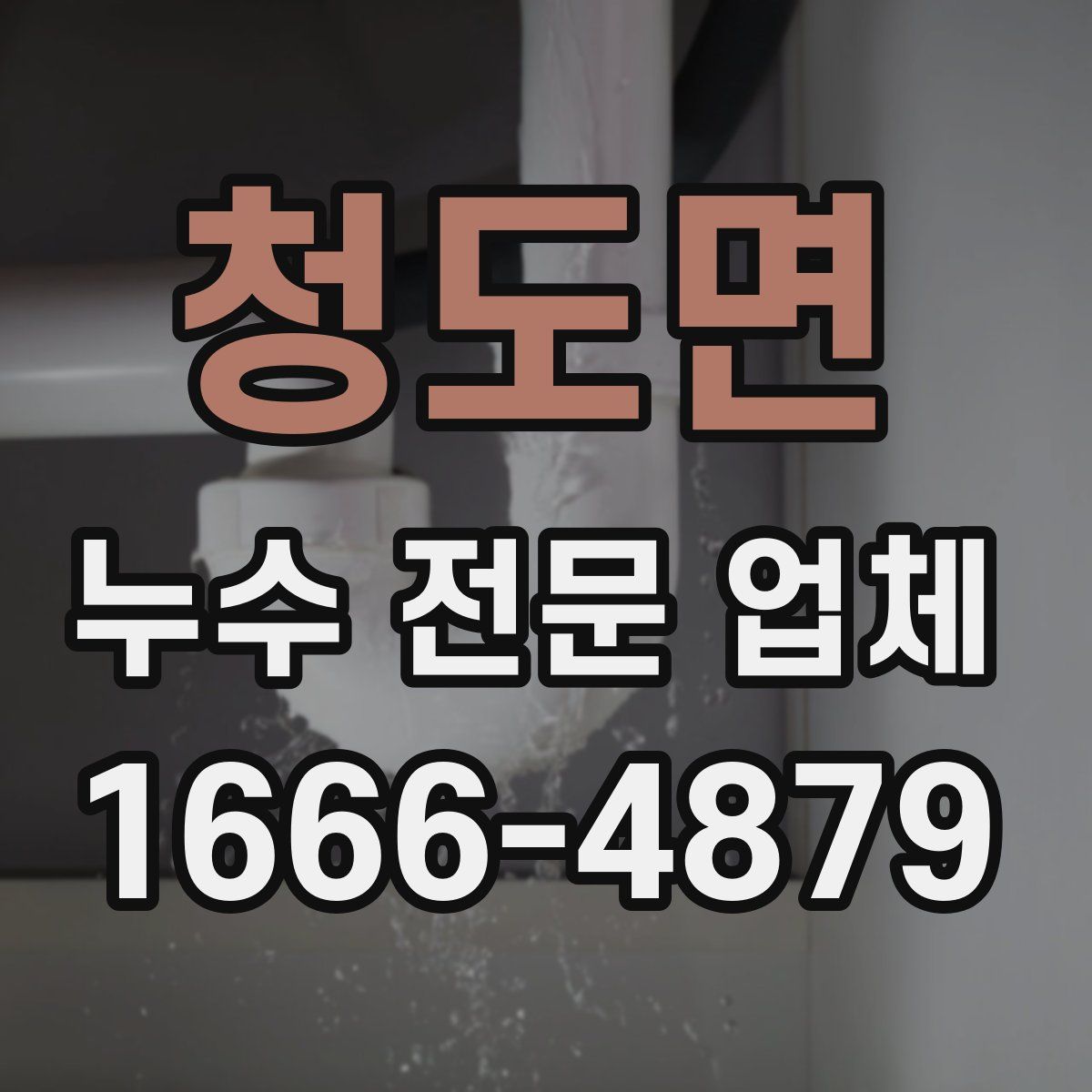 청도면 누수 전문 업체