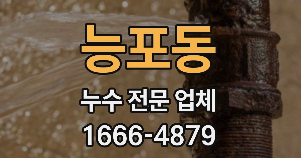 능포동 누수 전문 업체