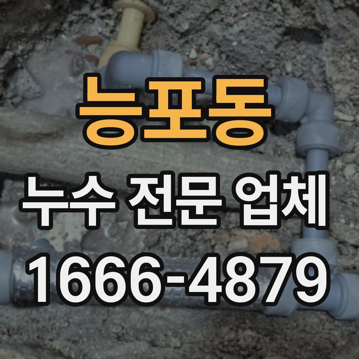 능포동 누수 전문 업체