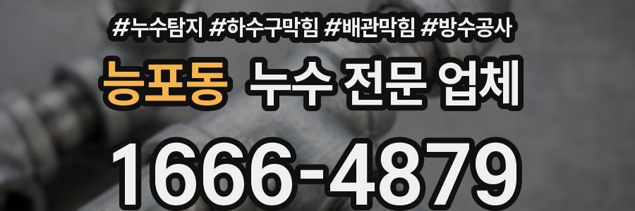 능포동 누수 전문 업체