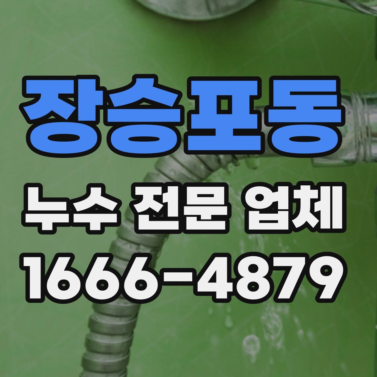 장승포동 누수 전문 업체