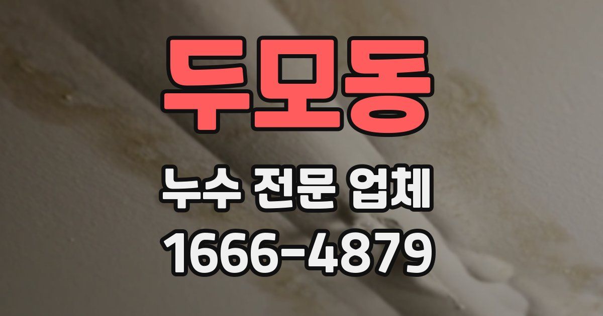 두모동 누수 전문 업체