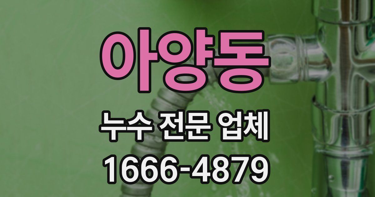 아양동 누수 전문 업체