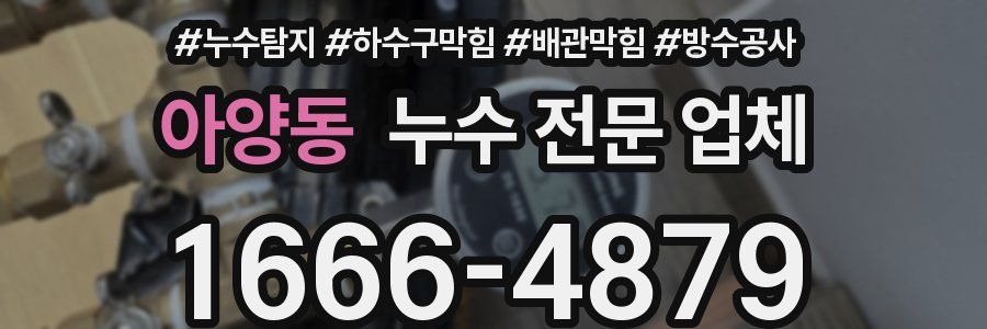 아양동 누수 전문 업체