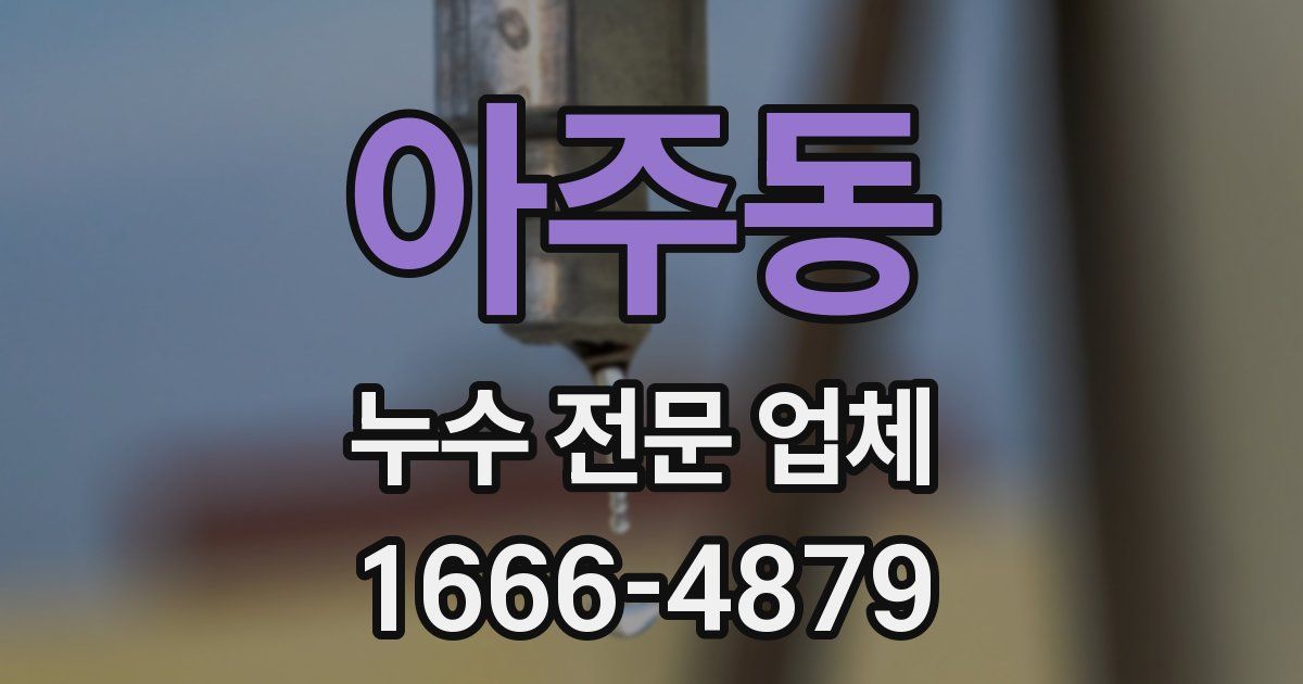 아주동 누수 전문 업체
