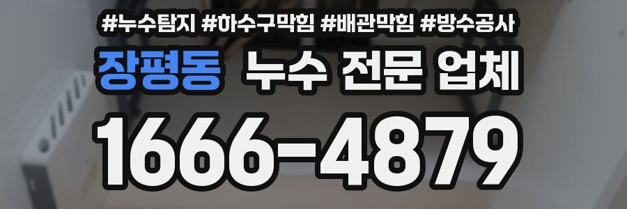 장평동 누수 전문 업체