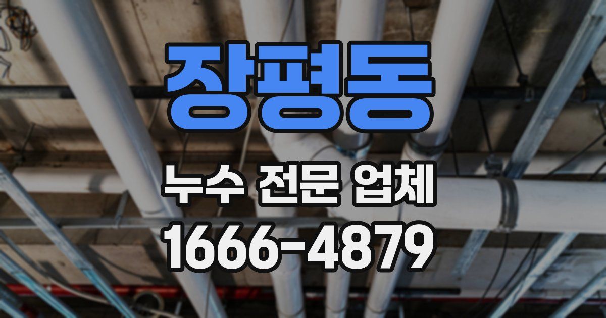 장평동 누수 전문 업체