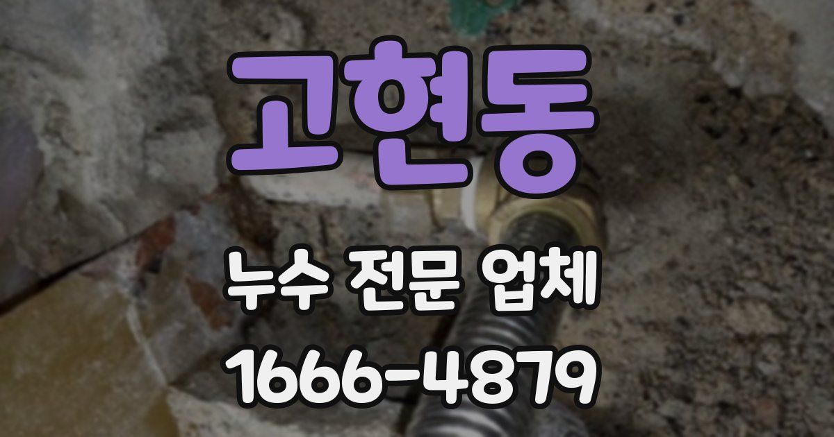 고현동 누수 전문 업체