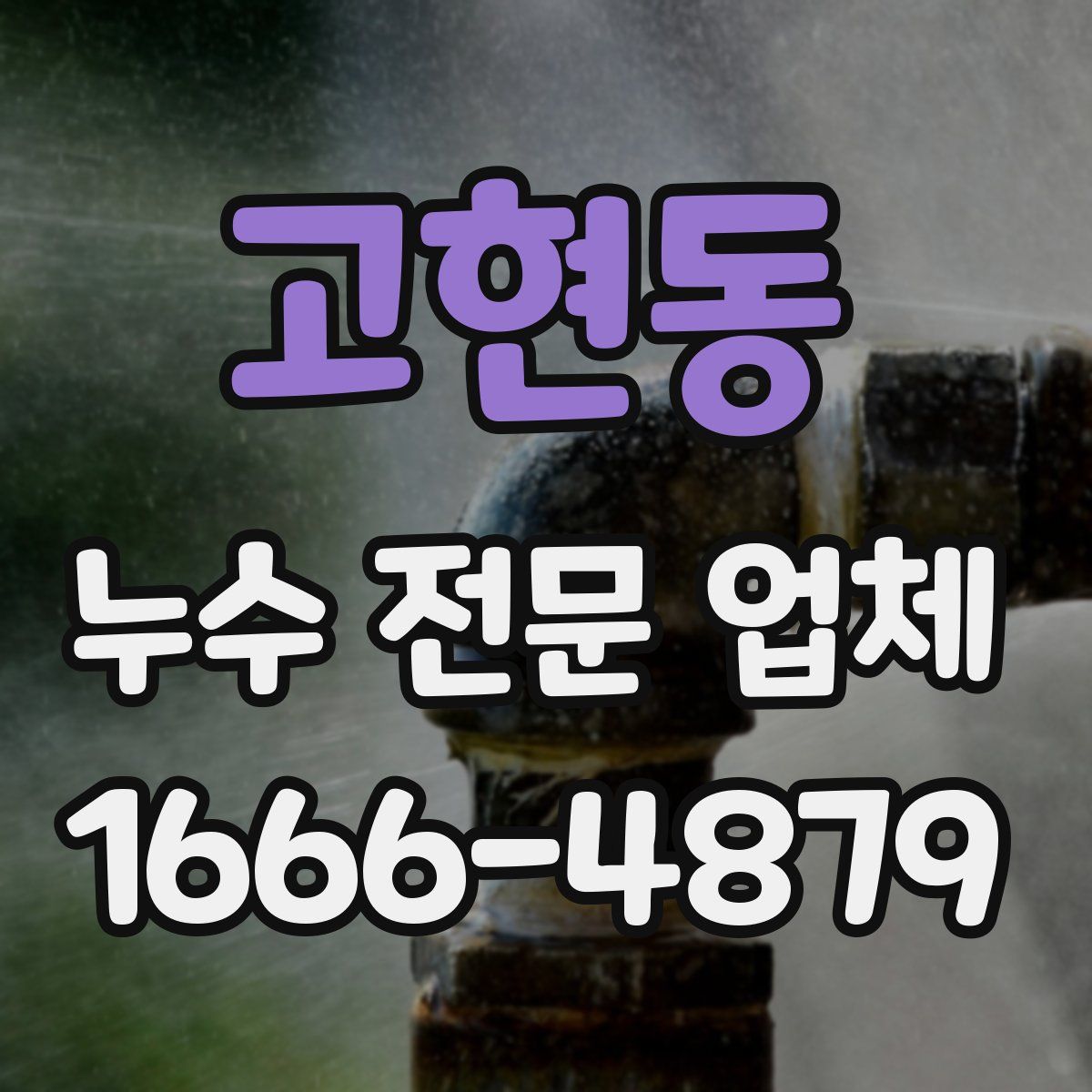 고현동 누수 전문 업체