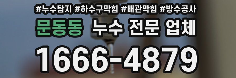 문동동 누수 전문 업체