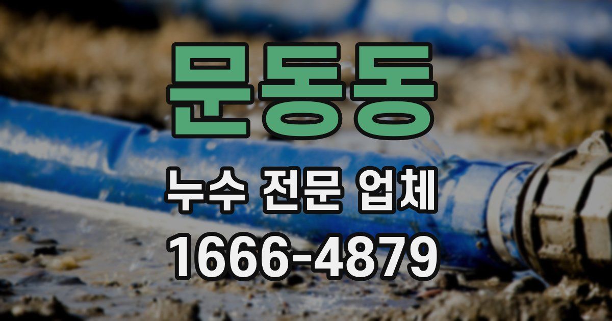 문동동 누수 전문 업체
