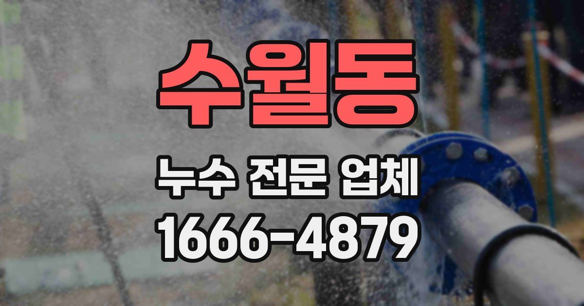 수월동 누수 전문 업체