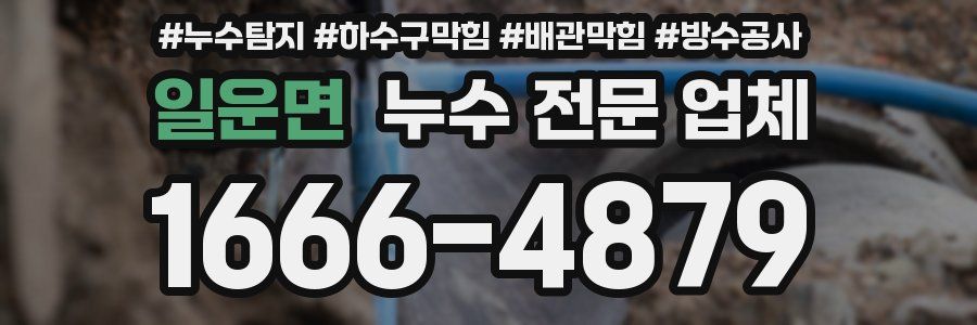 일운면 누수 전문 업체