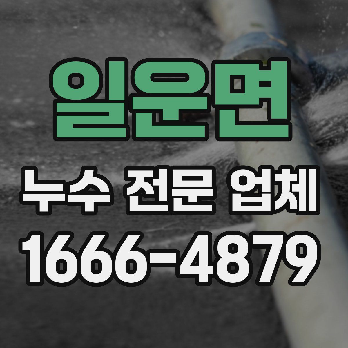 일운면 누수 전문 업체