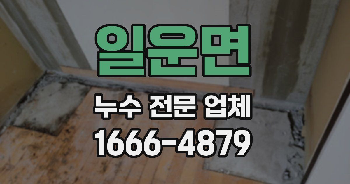 일운면 누수 전문 업체