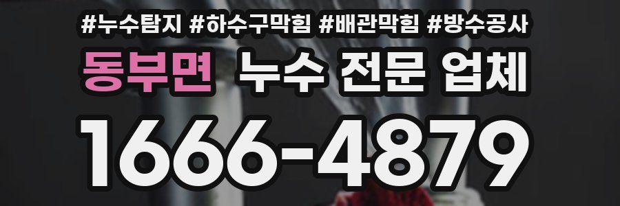 동부면 누수 전문 업체