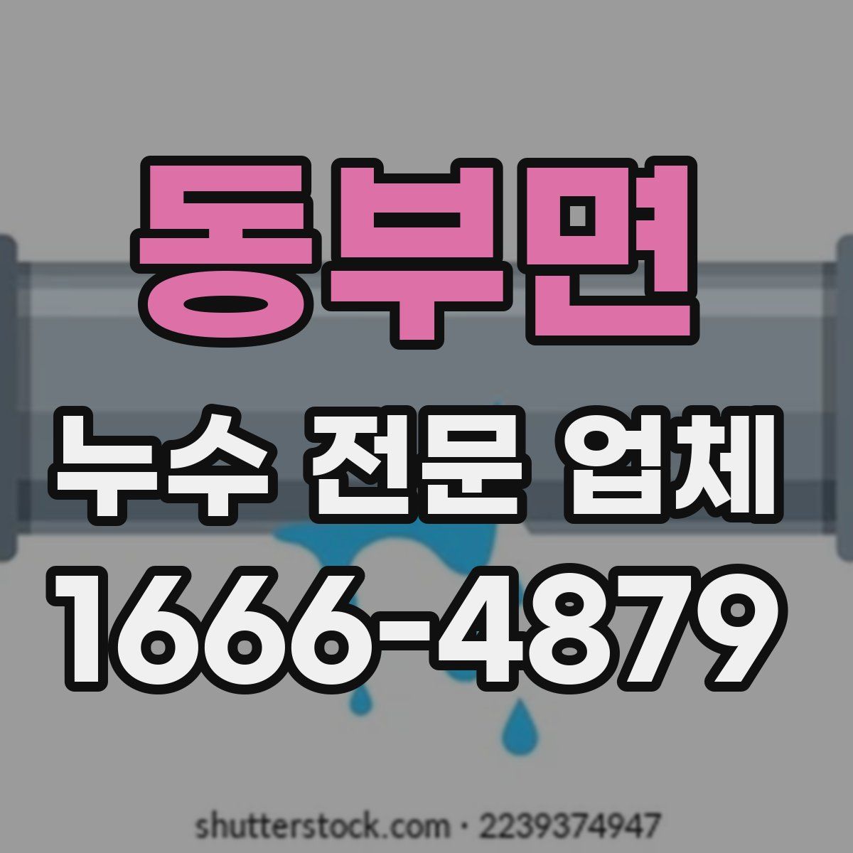 동부면 누수 전문 업체