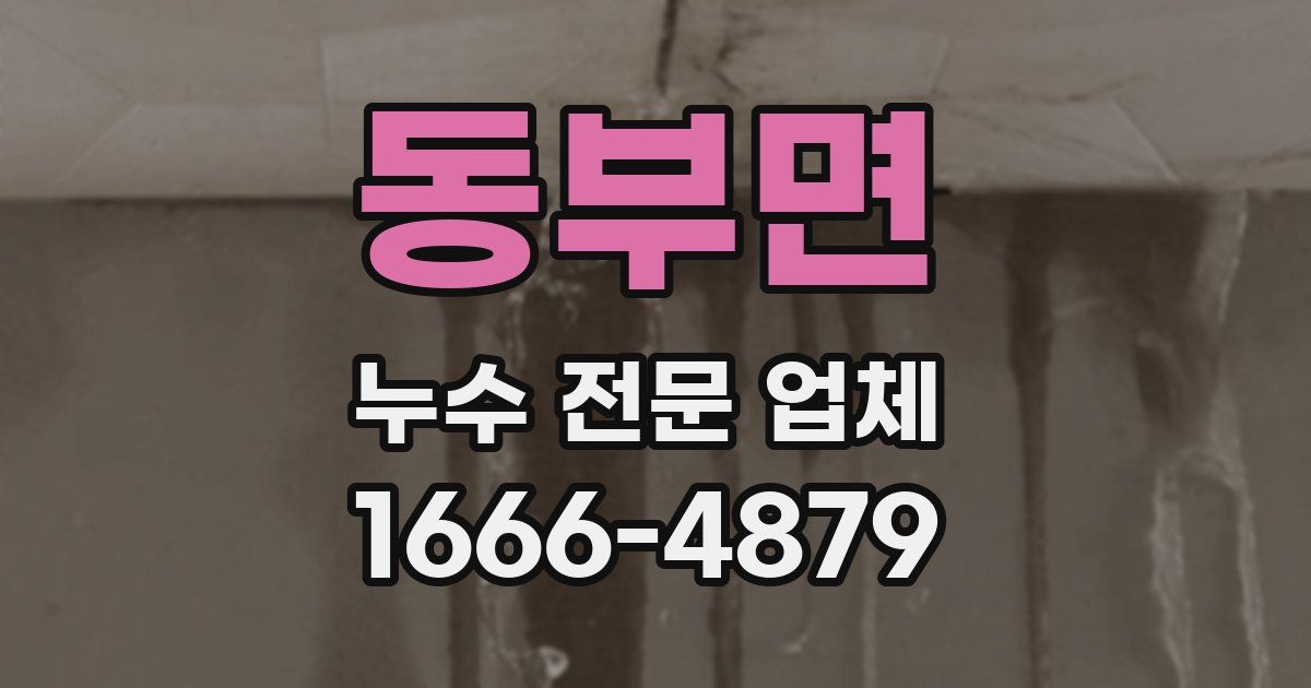 동부면 누수 전문 업체