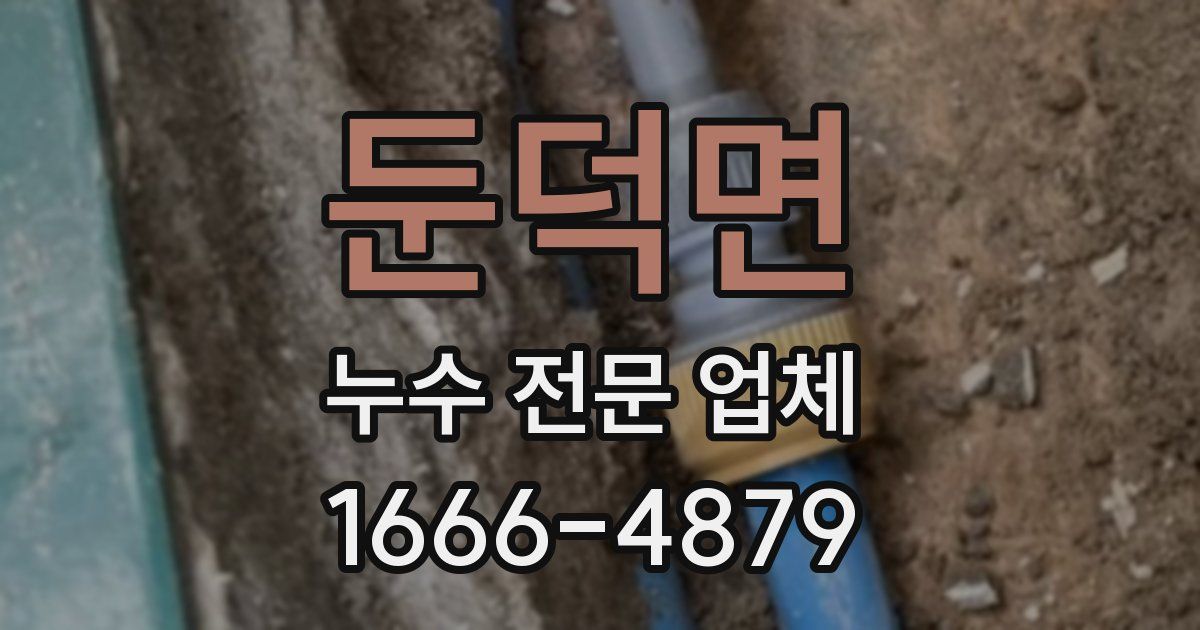 둔덕면 누수 전문 업체
