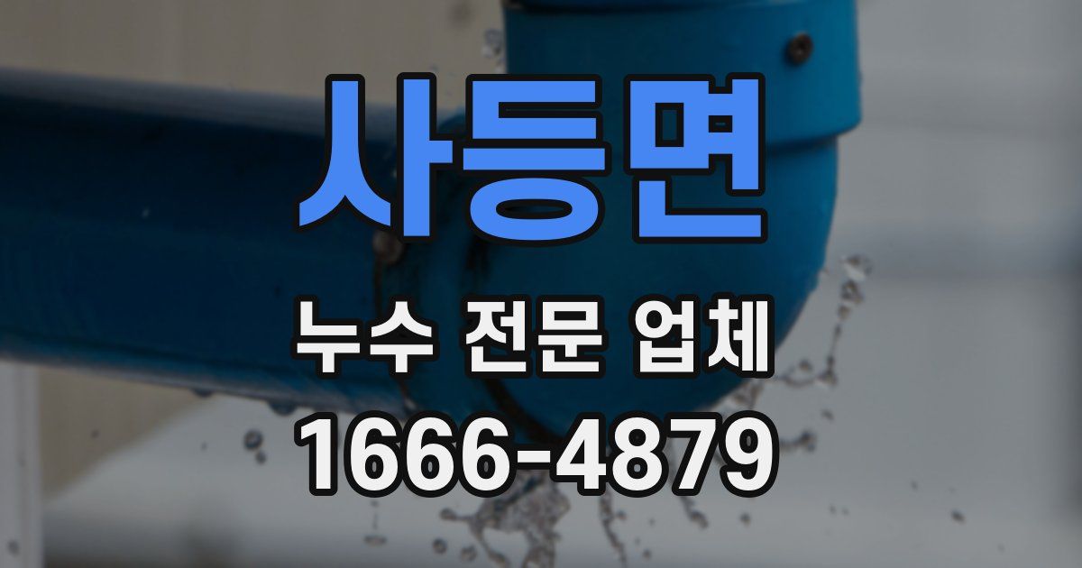 사등면 누수 전문 업체