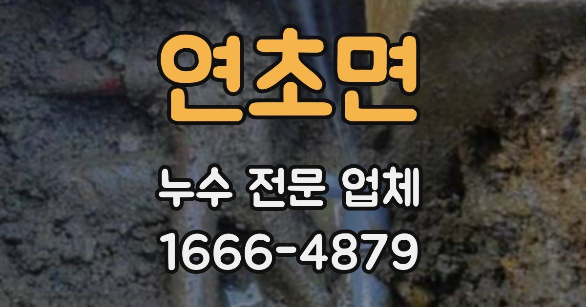 연초면 누수 전문 업체