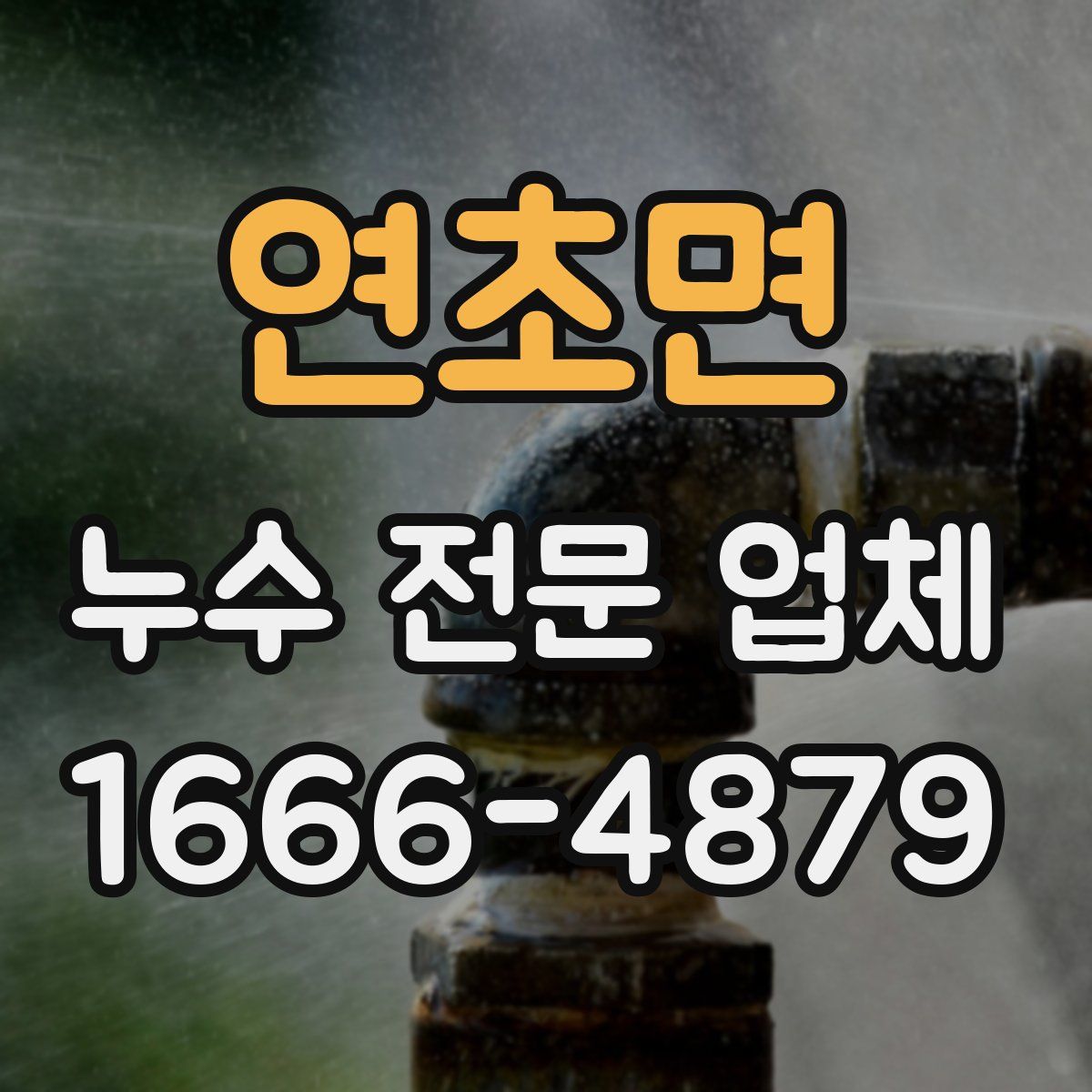 연초면 누수 전문 업체